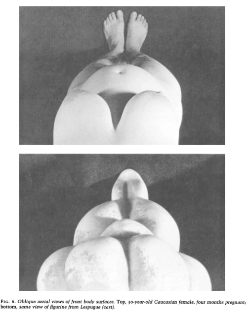 A comparison of a woman's view of her breasts and stomach with a neolithic sculpture. They look strikingly similar. A caption at the bottom reads: Fig. 6.: Oblique aeriel views of front body surfaces. Top, 30-year-old Caucasian female, four months pregnant; bottom, same view of figurine from Lespugue (cast).
